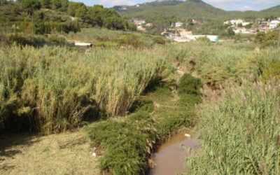 Estudi per a la recuperació paisatgística del riu Ripoll