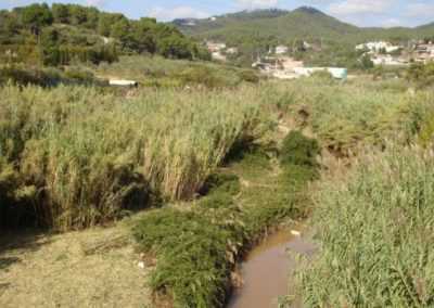 Estudio para la recuperación paisajística del riu Ripoll