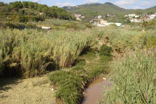 Estudio para la recuperación paisajística del riu Ripoll: Proyecto