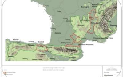 El Gran Conector Ecológico «Cantábrico – Pirineos – Macizo Central – Alpes»
