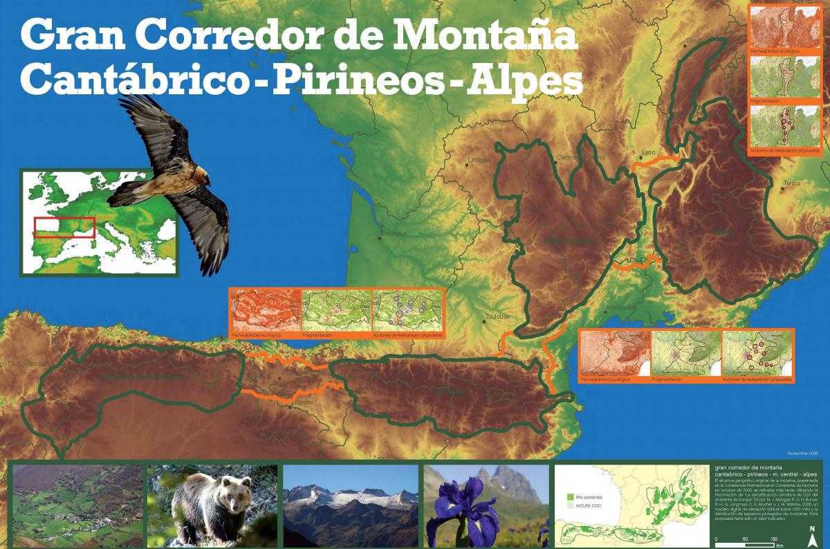 El Gran Conector Ecológico "Cantábrico - Pirineos - Macizo Central - Alpes": Proyecto