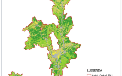 Pla Director Urbanístic de les Vies Blaves de Barcelona