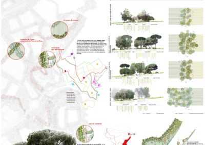 Propuesta de corredor verde para el Centre Direccional de Cerdanyola: Premio