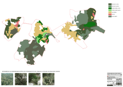 Espacio libre de Tres Turons: Proyecto