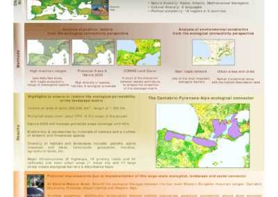 El Gran Conector Ecológico "Cantábrico - Pirineos - Macizo Central - Alpes": Proyecto