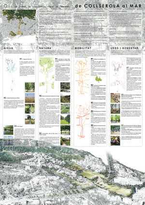 Plan especial de protección del Parc Natural de Collserola: Proyecto en curso