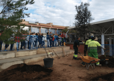 Small ecosystem. Un pequeño ecosistema en el patio de la escuela