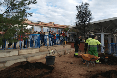Small ecosystem. Un petit ecosistema al pati de l’escola