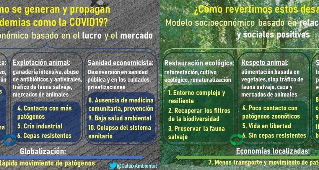 Diagrama explicatiu de causa i solucions per minimitzar la incidència de pandèmies com la COVID19