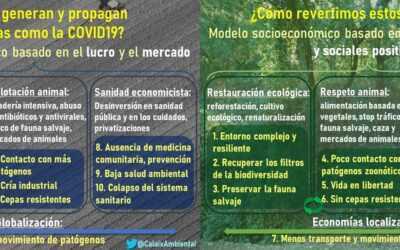 Entrevista en Radio Desvern sobre la relación entre la degradación ecológica y las pandemias