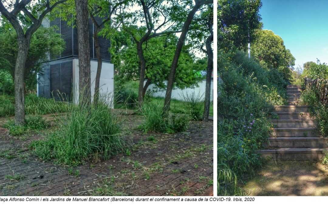 Imatges de l'estats de la vegetació durant el confinament a la Plaça Alfonso Comín i al Jardins de Manuel Blancafort de Barcelona