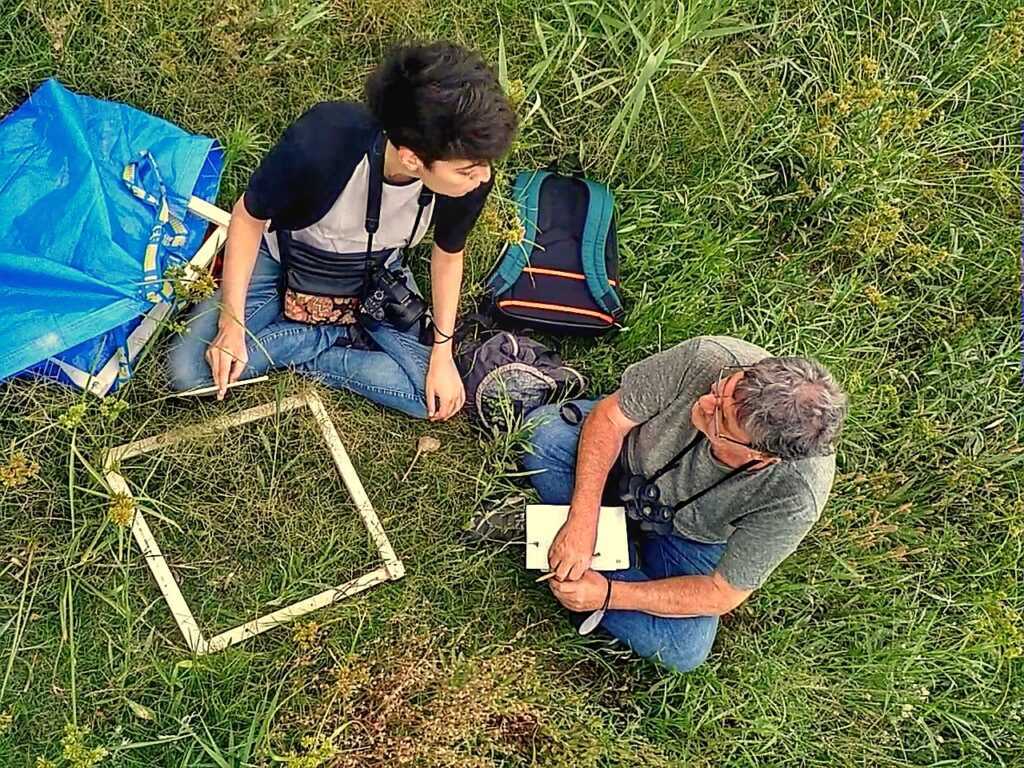 Estudio de fauna en la Plaza de las Glòries de Barcelona: En Irbis estamos en proceso de realización de un estudio de fauna sobre la nueva Plaza de las Glòries. Su objetivo es conocer cuál ha sido el éxito de las estrategias ecológicas aplicadas al nuevo proyecto de la Plaza, en el que hemos trabajado en la UTE Agence Ter y Ana Coello, con la primera fase de la plaza ya en funcionamiento desde el abril de 2019 (Ámbito Clariana). Los resultados de este trabajo tienen que servir para orientar los criterios ecológicos a aplicar en la nueva fase del proyecto de la Plaza de las Glòries (Ámbito Túneles).