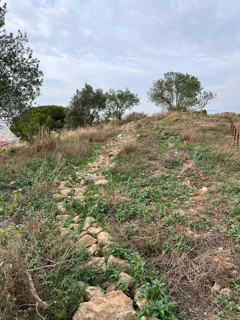 Projecte executiu i millora de l'espai natural del Parc dels Tres Turons (sector 1), dins l'àmbit del Turó de la Rovira al districte d'Horta Guinardó, Barcelona