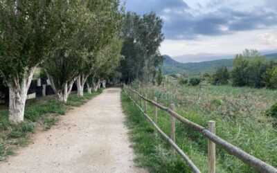 Elaboración de la Guía «Criterios ambientales en los proyectos de Vías Verdes»