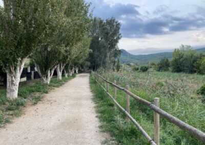 Elaboración de la Guía «Criterios ambientales en los proyectos de Vías Verdes»